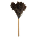 Feather Duster